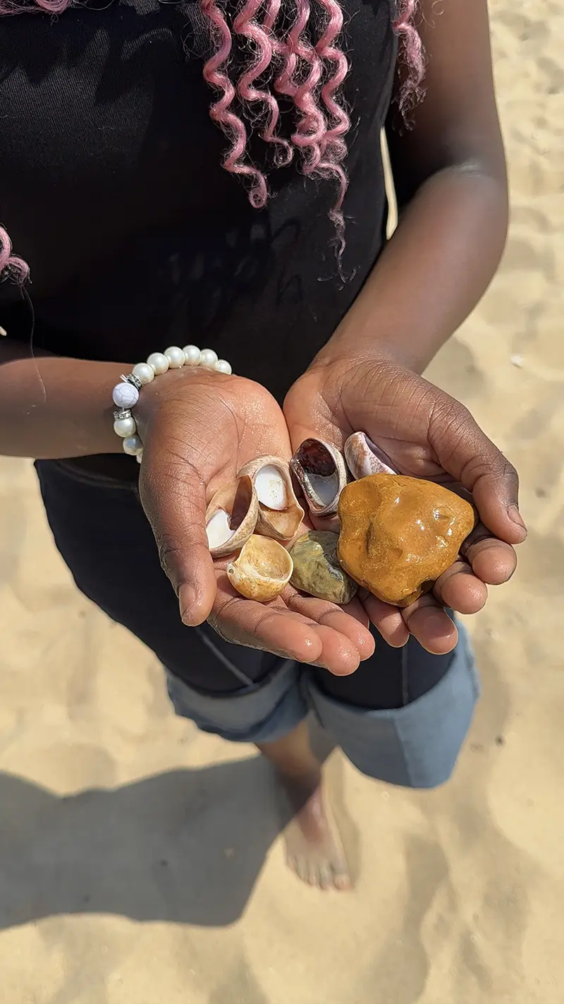 Students holding sea shells on the beach
