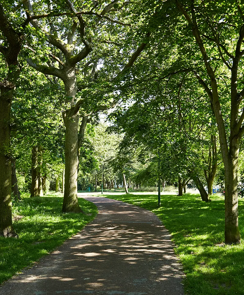 Fisherman's Walk nature trail
